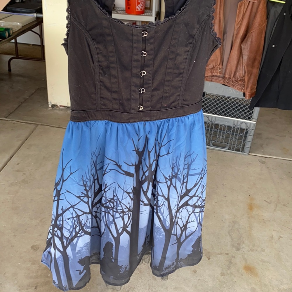 Alice in wonderland dress